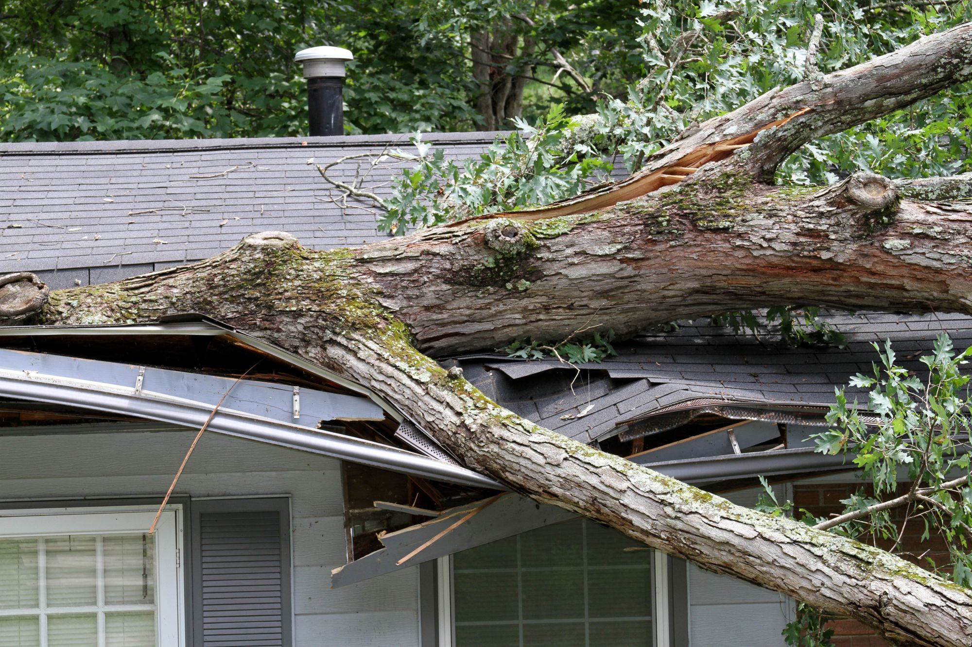 storm damage blog tobias 299135945